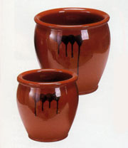 20100623_tsubo.jpg